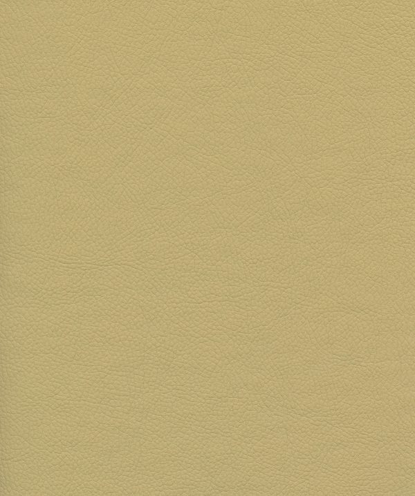 Venus Crib5 Vinyl Colour Coffee
