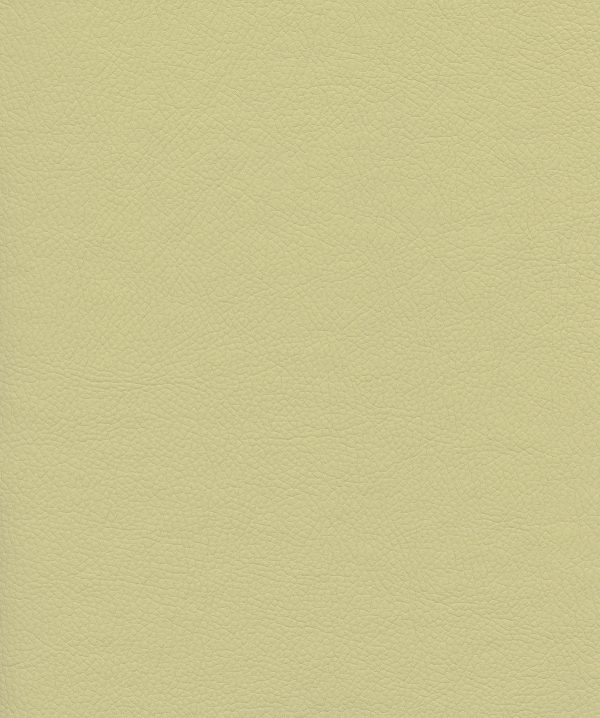 Venus Crib5 Vinyl Colour Cream.