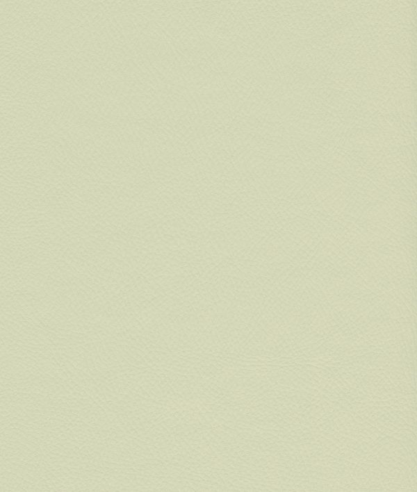 Venus Crib5 Vinyl Colour Ivory