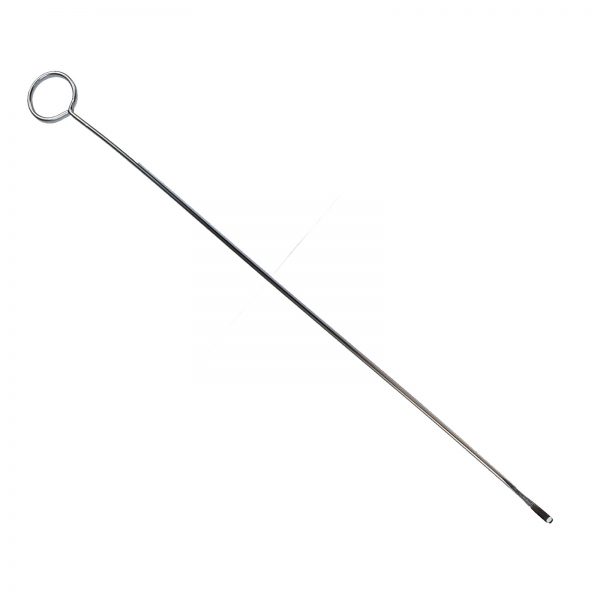 Caning Needle